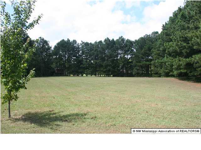 8313 Malone Road Olive Branch, MS 38654 - Photo 11 of 14 Additional Photo