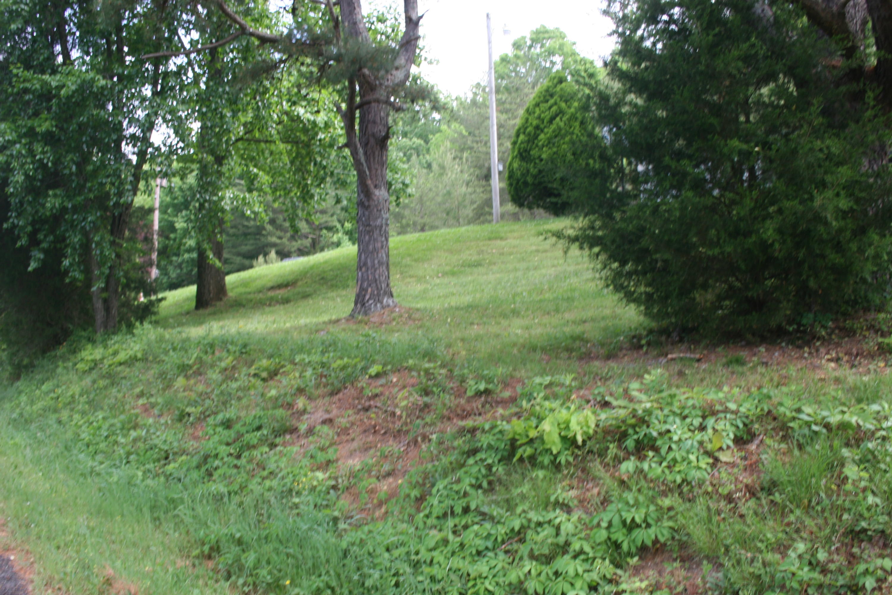 2815 Kiser Road Philadelphia, TN 37846 - Photo 29 of 32 IMG_5521