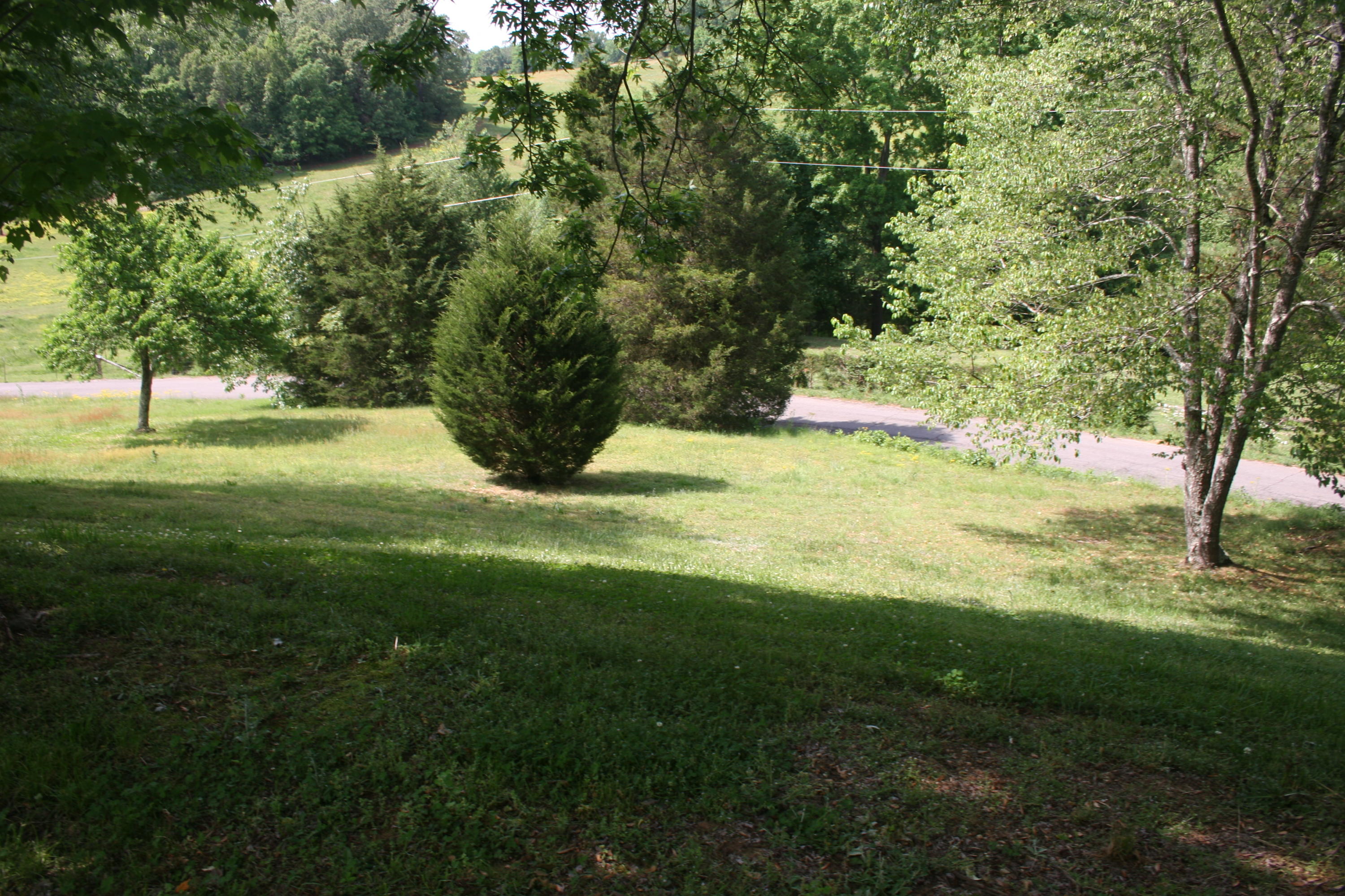 2815 Kiser Road Philadelphia, TN 37846 - Photo 6 of 32 IMG_5505