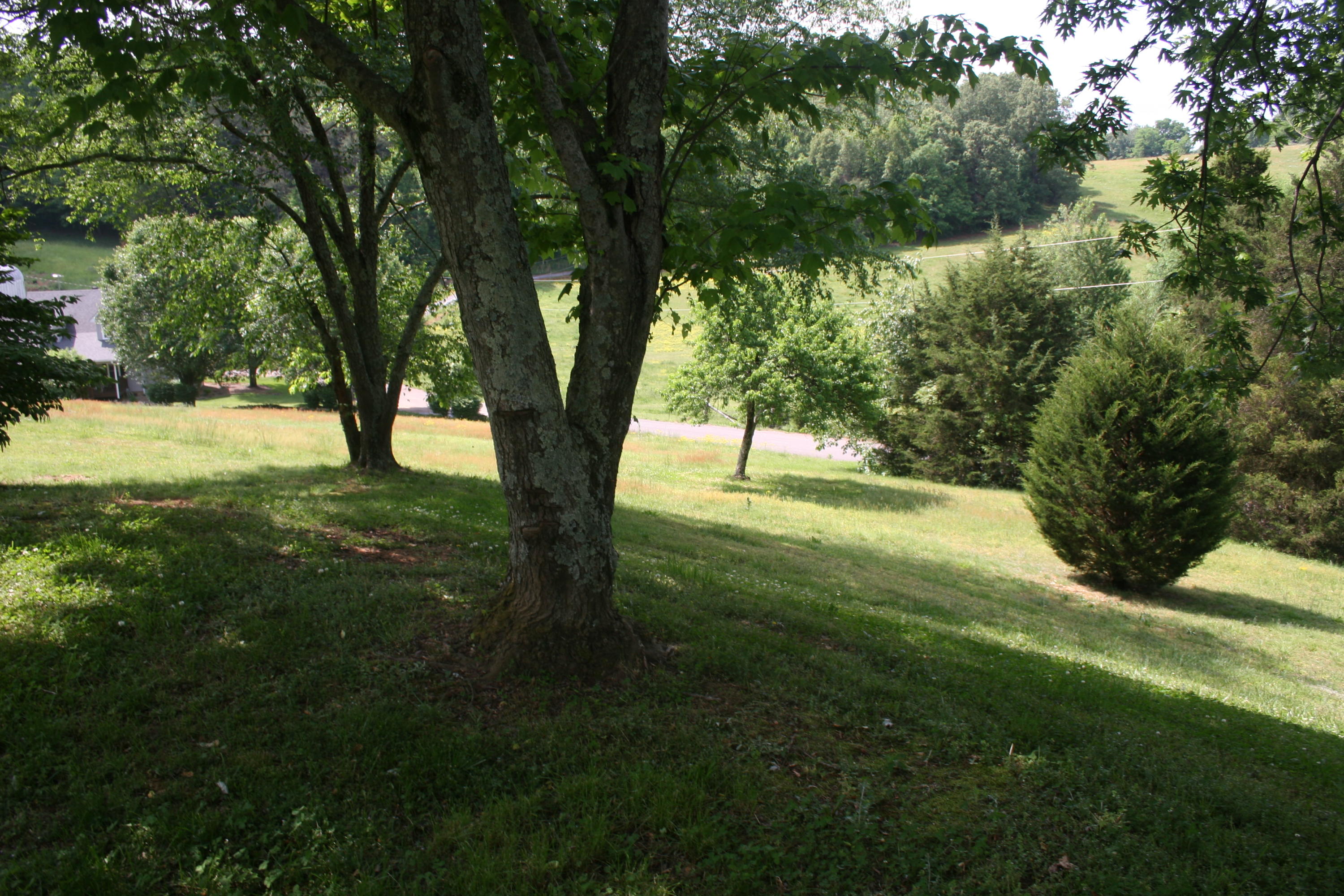 2815 Kiser Road Philadelphia, TN 37846 - Photo 7 of 32 IMG_5506