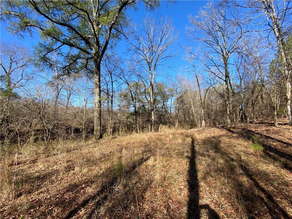 0 South Moss Flat Road Notasulga, AL 36866 - Photo 30 of 39 Gallery Image 30