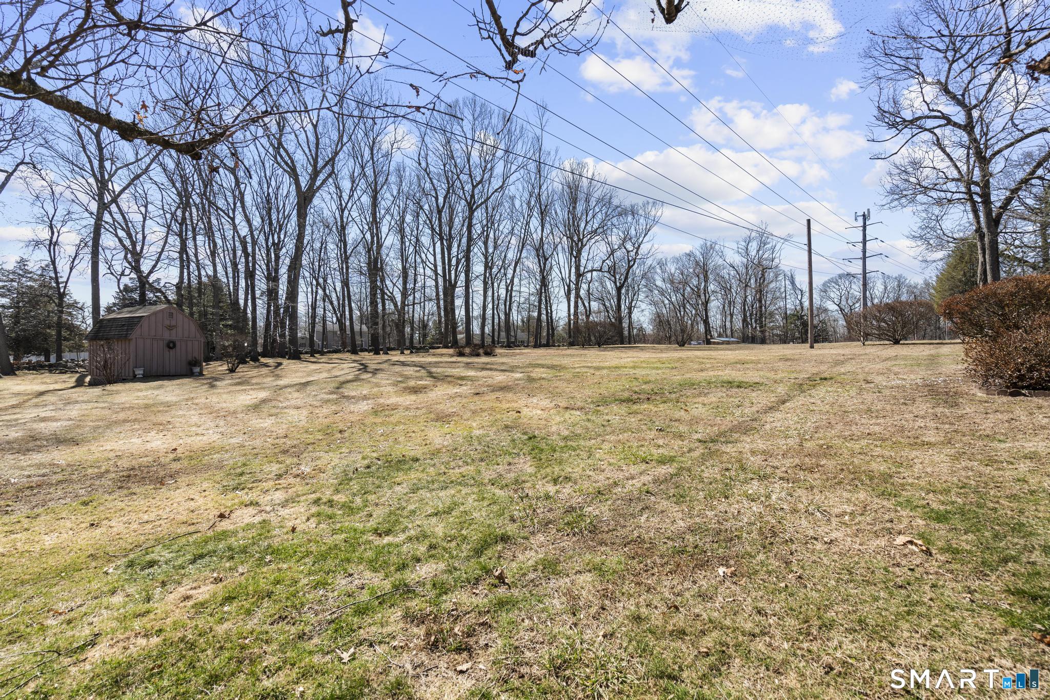 60 Quail Trail Trumbull, CT 06611 - Photo 13 of 37 a view of yard with trees