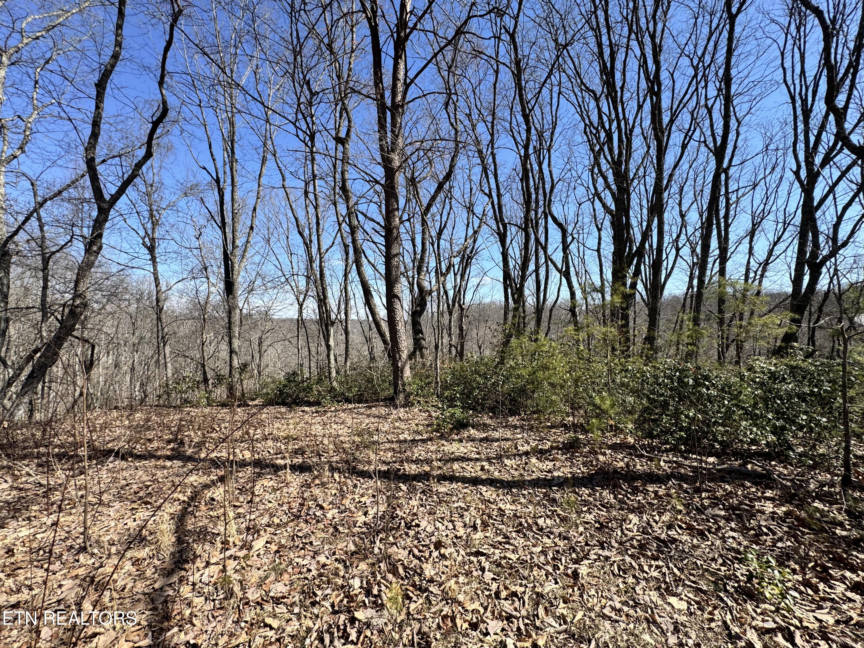 Honey Springs Road Crawford, TN 38554 - Photo 11 of 14 IMG_2825