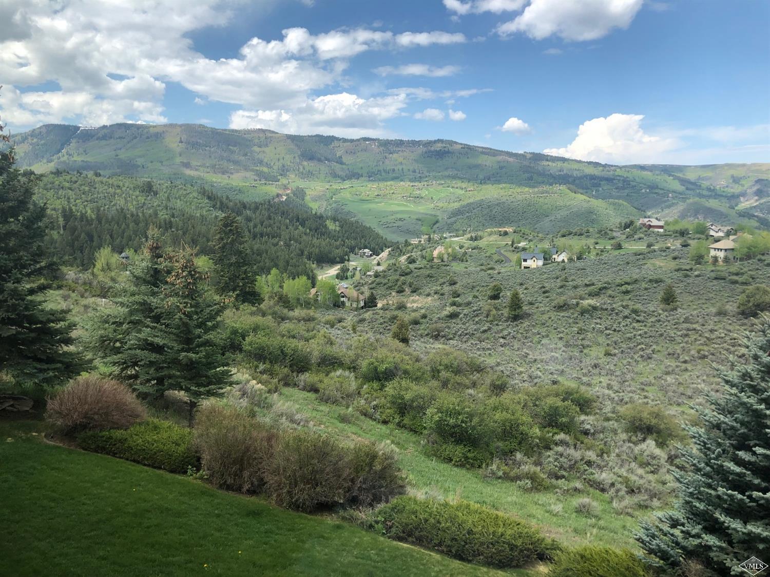 298 Granada Hill Road Edwards, CO 81632 - Photo 12 of 22 Additional Photo
