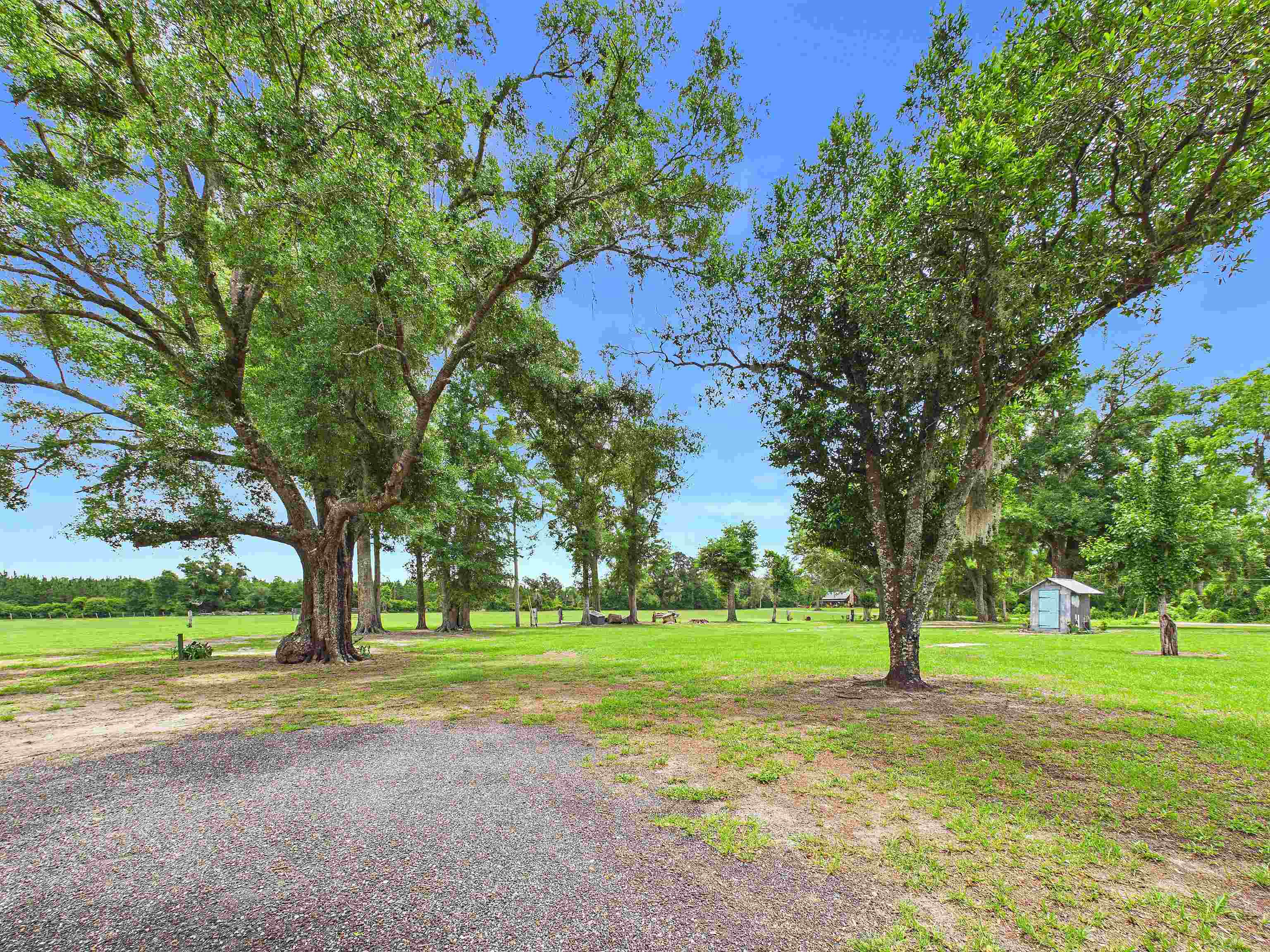 4764 Southwest Fellowship Road Greenville, FL 32331 - Photo 31 of 70