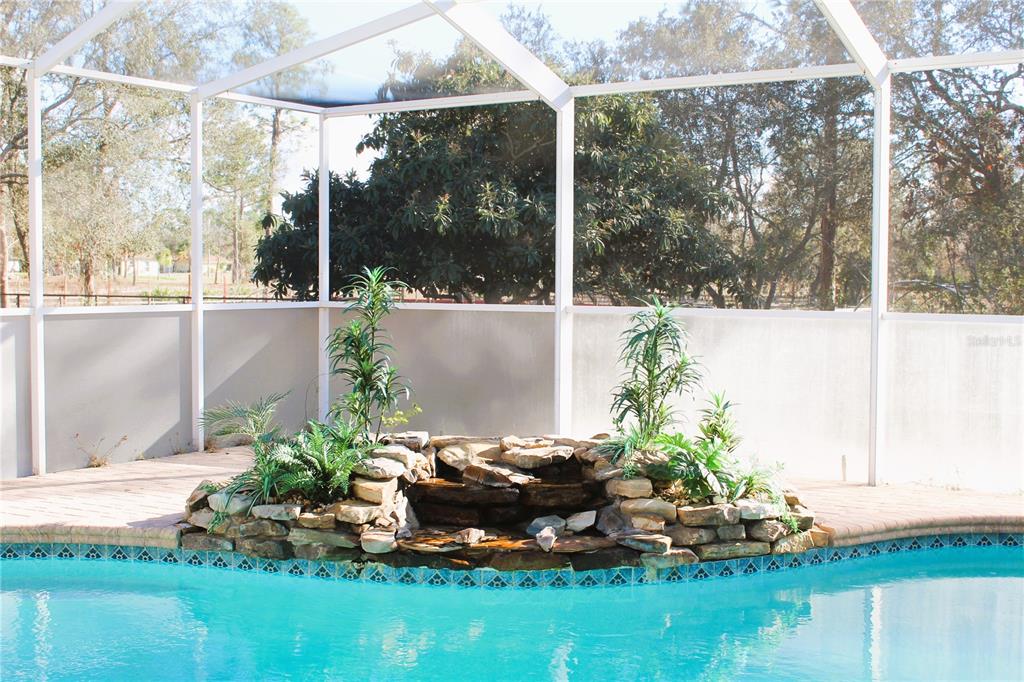 8476 Madrid Road Weeki Wachee, FL 34613 - Photo 27 of 59 a view of a garden with a bench in front of the house