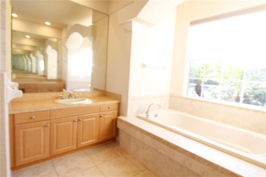 8476 Madrid Road Weeki Wachee, FL 34613 - Photo 32 of 37 a bathroom with a tub sink and mirror