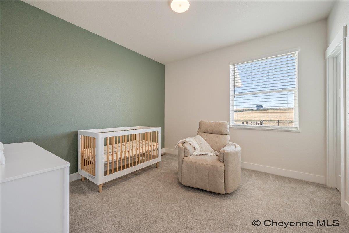 8511 Misty Mountain Road Cheyenne, WY 82009 - Photo 32 of 35 Gallery Image 32