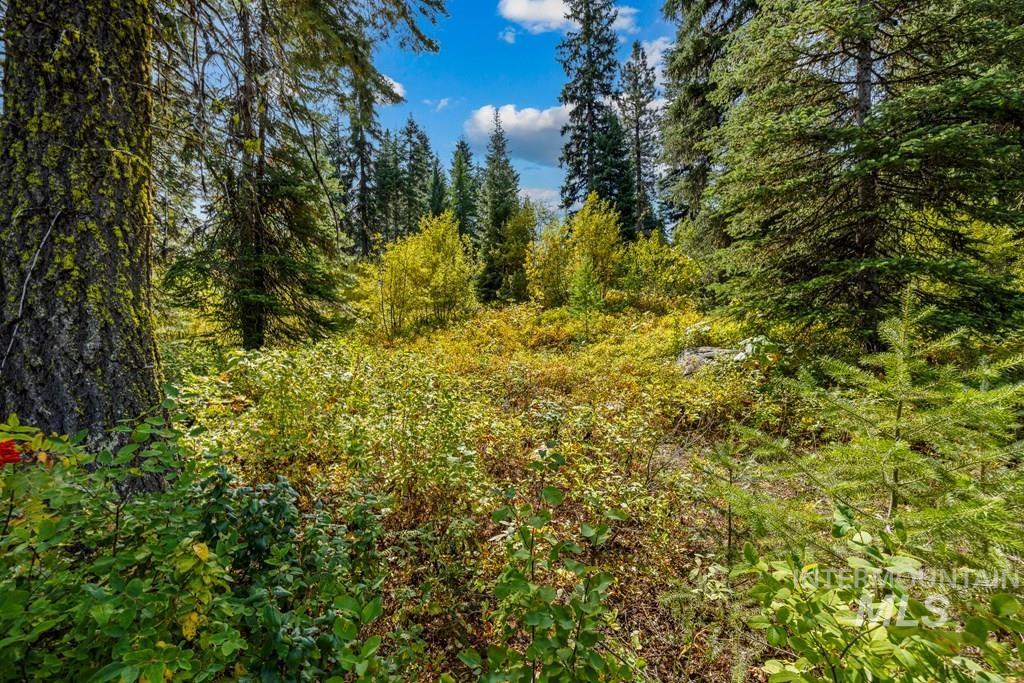 77 Tripod Court Cascade, ID 83611 - Photo 14 of 34