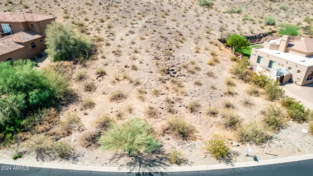 a view of a backyard with plants and lake view