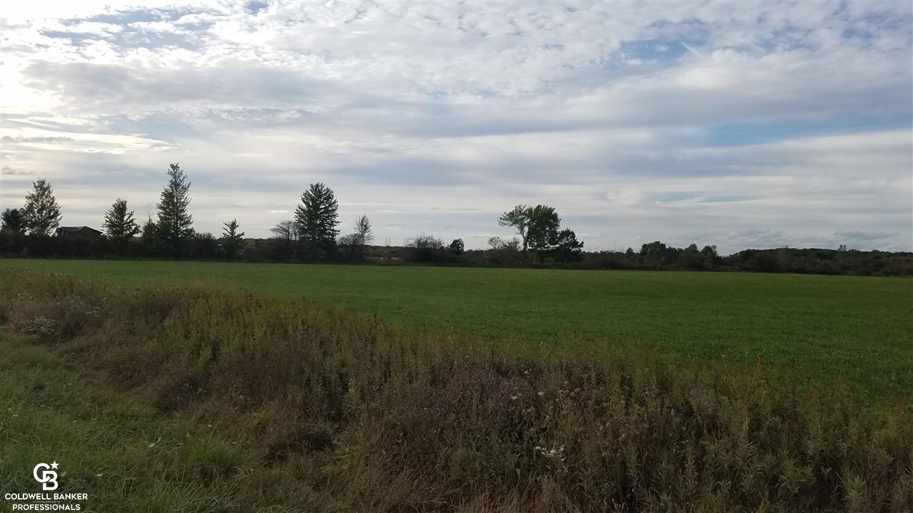 A-b Oatman Parc Avoca, MI 48006 - Photo 7 of 11