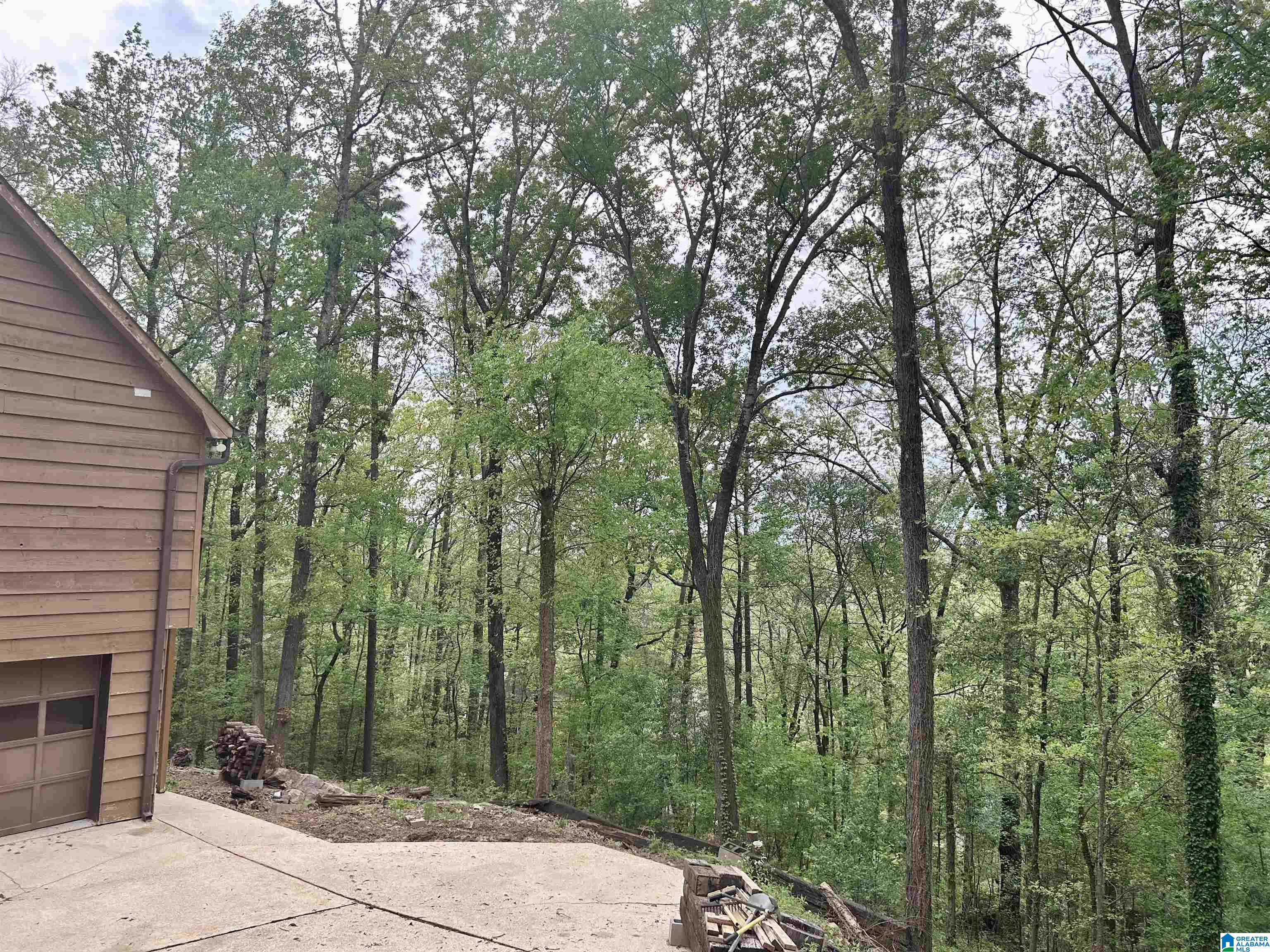 3990 South Shades Crest Road Birmingham, AL 35244 - Photo 4 of 18