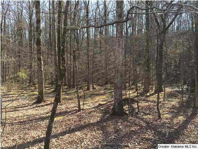 1857 Massey Road Alabaster, AL 35007 - Photo 16 of 17