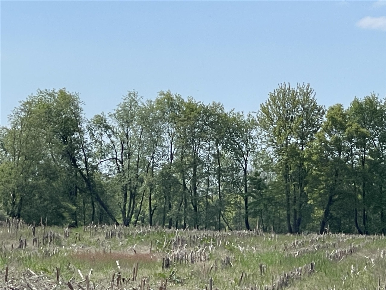 4514 22 Mile Road Northeast, Unit PARCEL 1 Sand Lake, MI 49343 - Photo 8 of 17