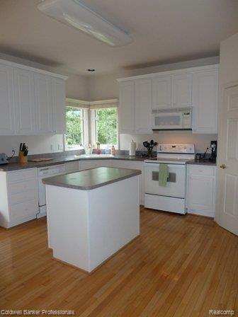 3891 Kaeleaf Road Lake Orion, MI 48360 - Photo 5 of 27 Kitchen.JPG
