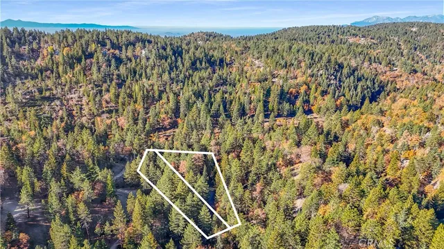 $339,995 | 32703 Tulip, Running Springs, CA 92382