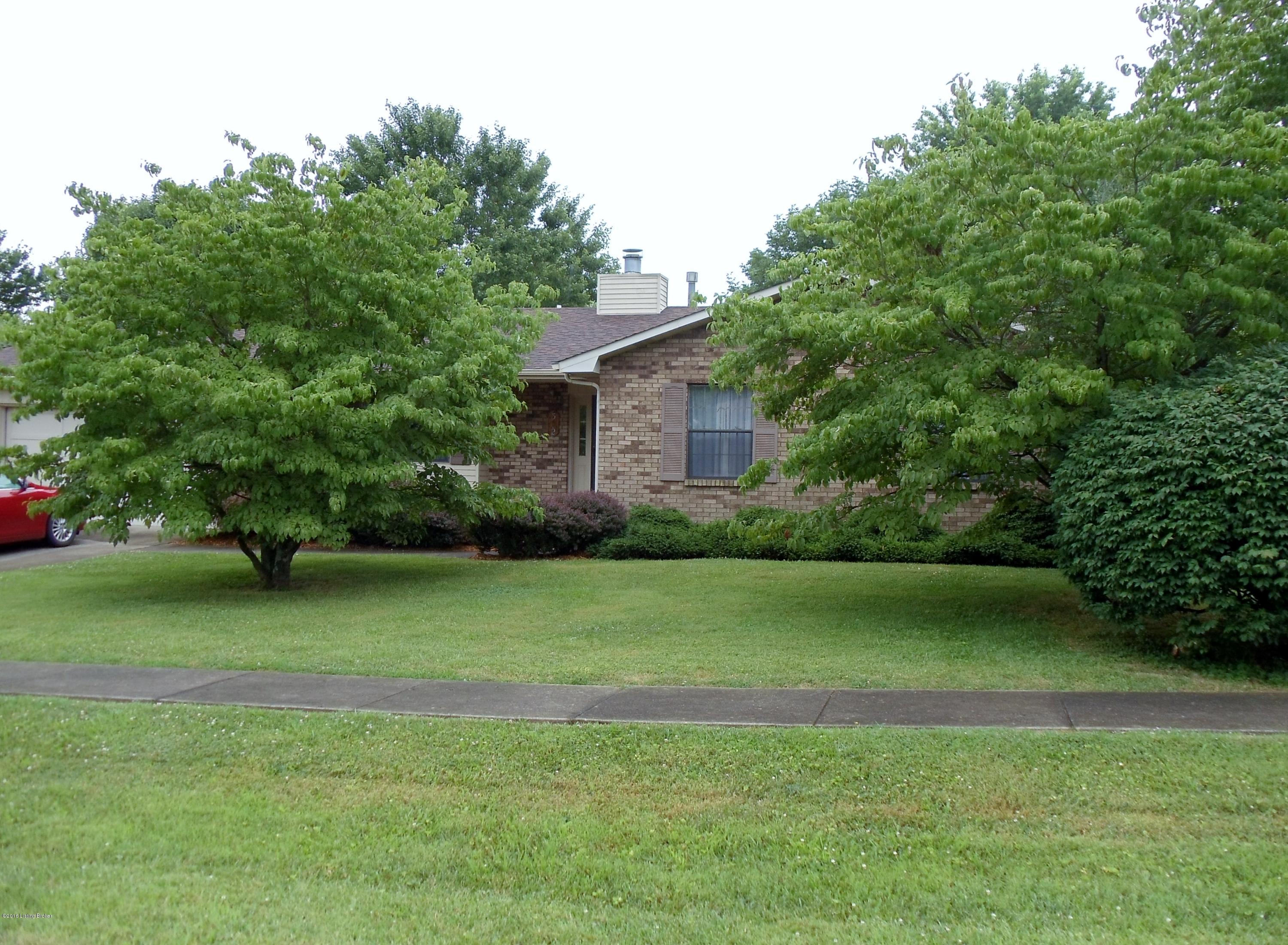 Nice, shady lawn