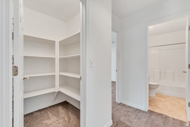 546 Wheatridge Road Tooele, UT 84074 - Photo 39 of 49 Spacious linen closet with multiple shelves