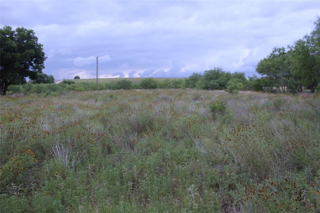 510 Hamby Road Clyde, TX 79510 - Photo 16 of 23 Expansive open field with natural vegetation and mature trees bordering the perimeter