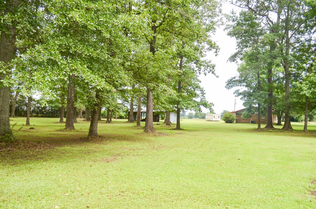 225 Royce Lane Dothan, AL 36305 - Photo 26 of 31