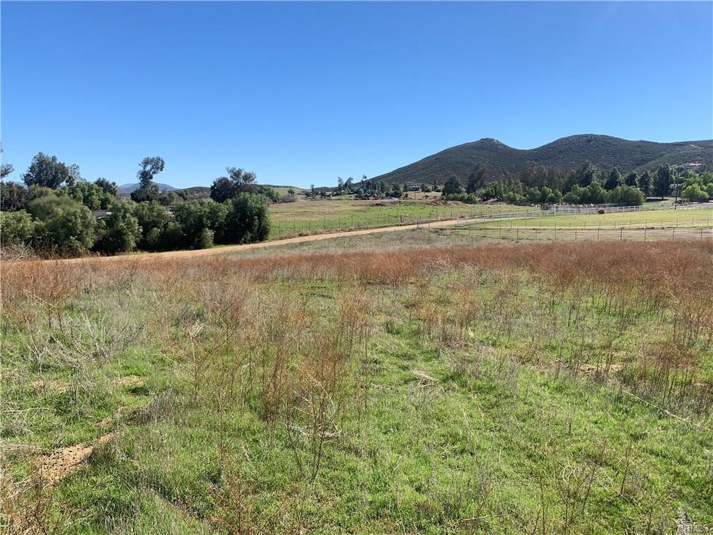 0 Scott Road Winchester, CA 92596 - Photo 8 of 13