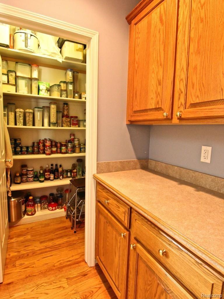 3856 Elk Drive Rochester, MI 48306 - Photo 21 of 71 IMG_0675.jpg