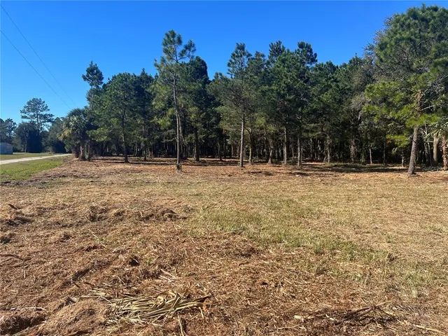 a big yard with trees in the background
