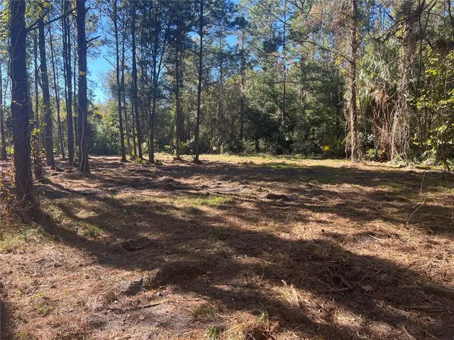 $250,000 | 17802 Us-301, Waldo, FL 32694