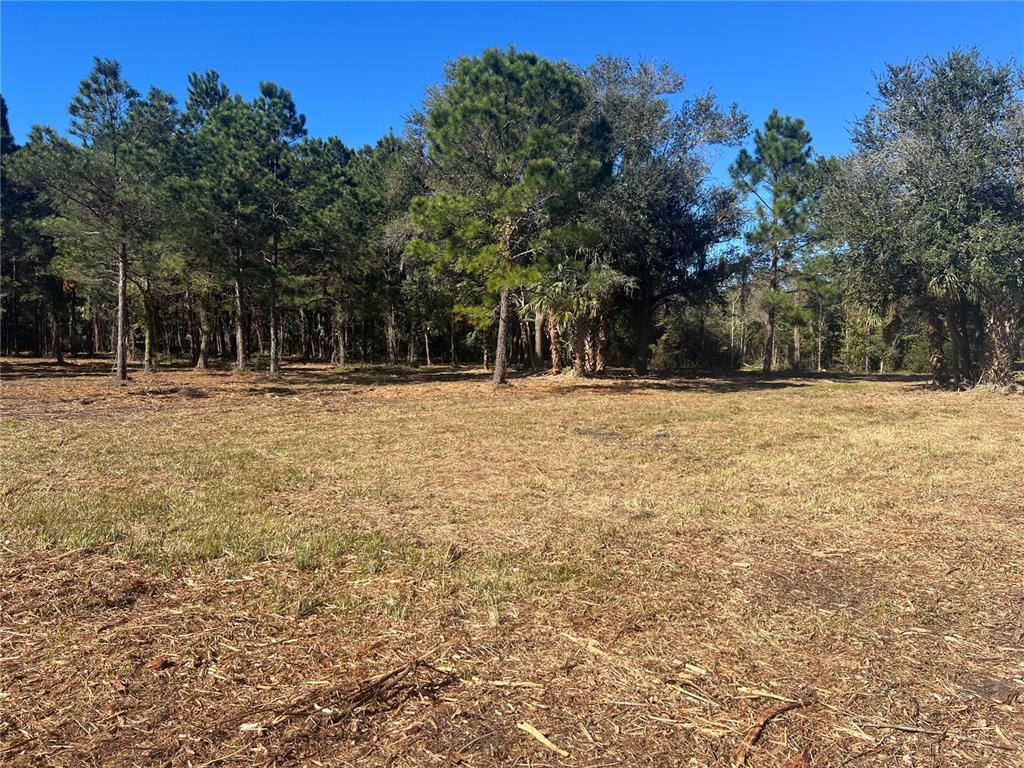 17802 Us-301 Waldo, FL 32694 - Photo 5 of 17 a view of basketball court