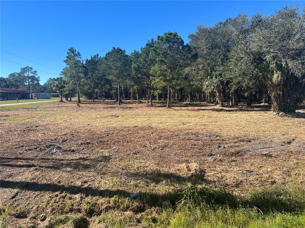 17802 Us-301 Waldo, FL 32694 - Photo 7 of 17