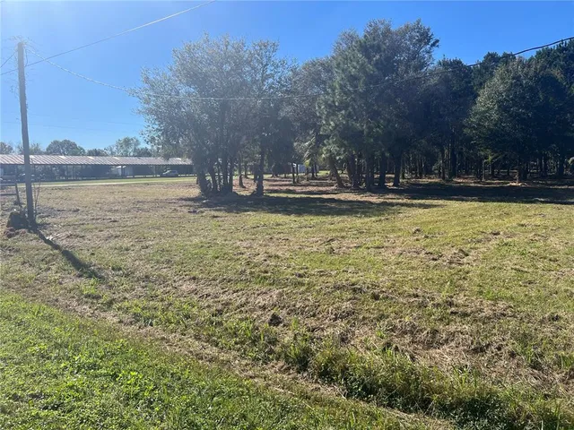 a view of a yard with trees