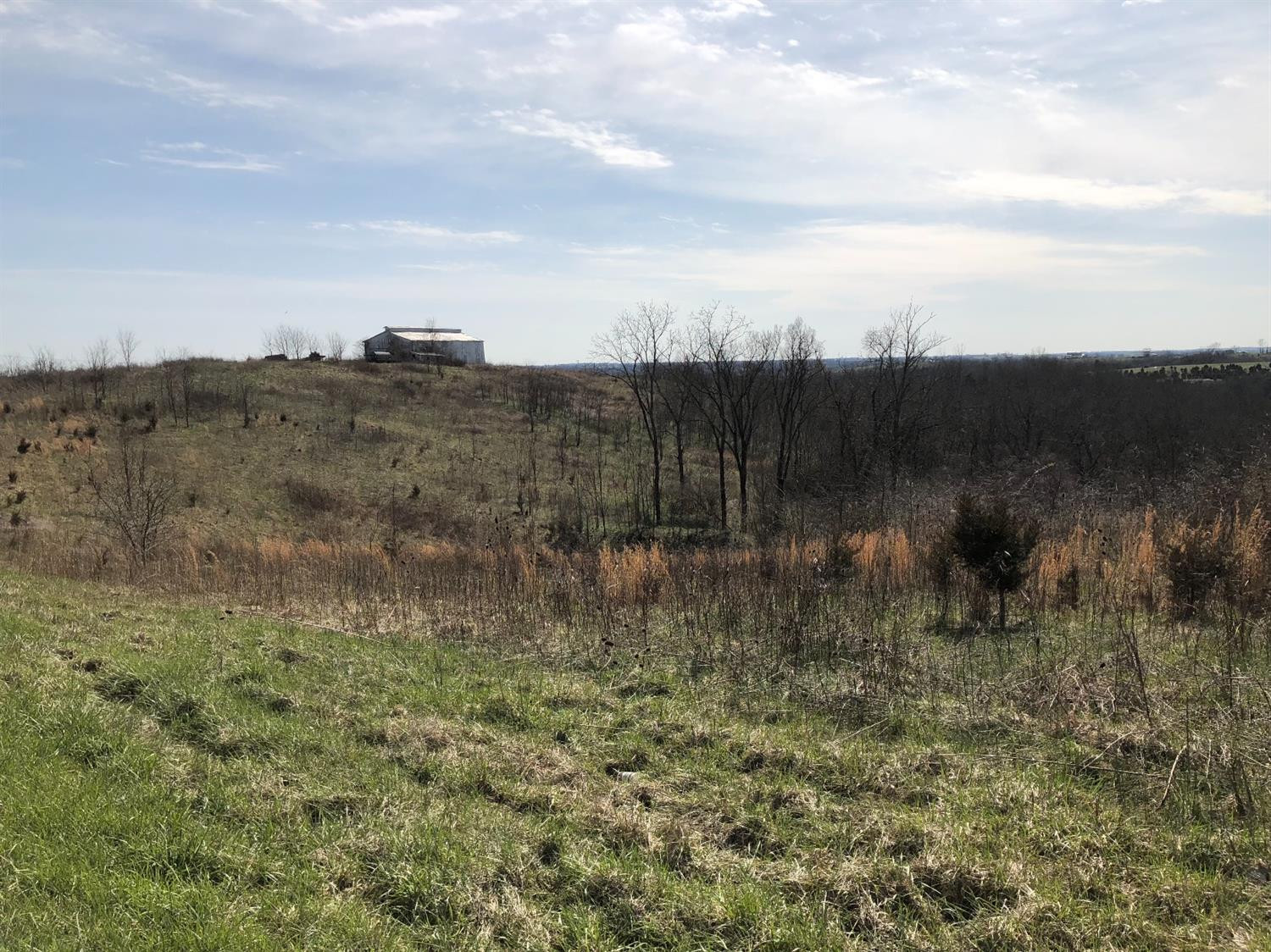 4750 Bridgeville Road Brooksville, KY 41004 - Photo 25 of 25 Photo 25