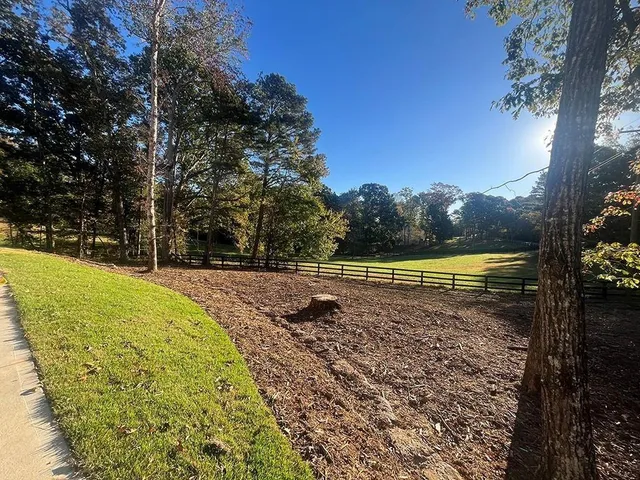 a view of a swimming pool with a yard
