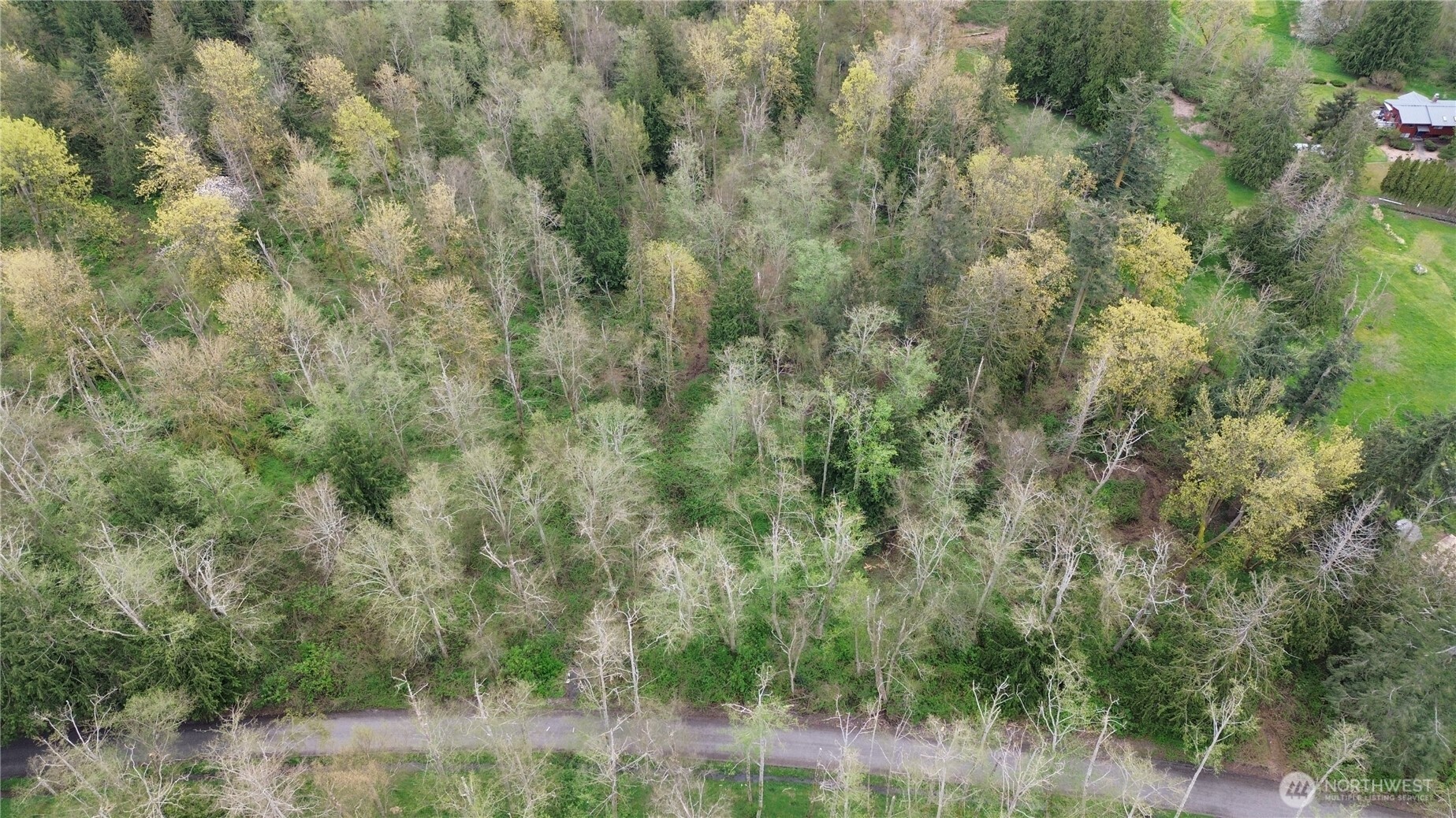 17584 Allen Road Bow, WA 98232 - Photo 5 of 20 a view of a yard
