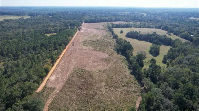 a view of a dry yard with trees