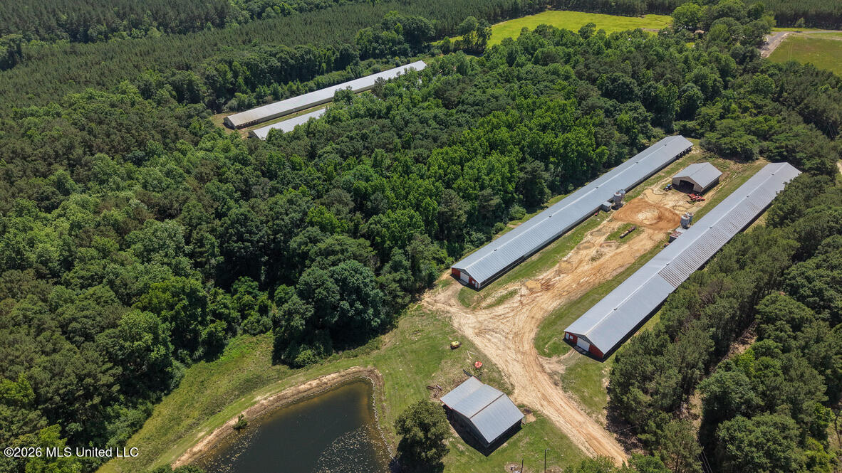 Smithtown Chicora Road State Line, MS 39362 - Photo 6 of 38 D0E13845-5241-4110-9384-043F41622D12_1_1