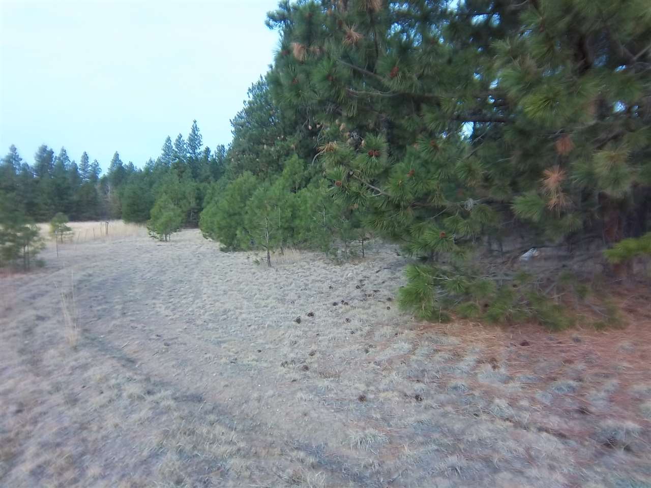 Xxxx West Woolard Road Colbert, WA 99005 - Photo 3 of 10 Gallery Image 3