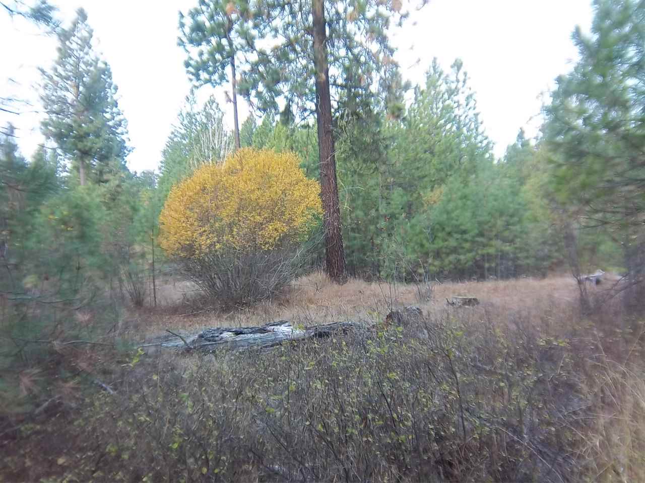 Xxxx West Woolard Road Colbert, WA 99005 - Photo 5 of 10 Gallery Image 5
