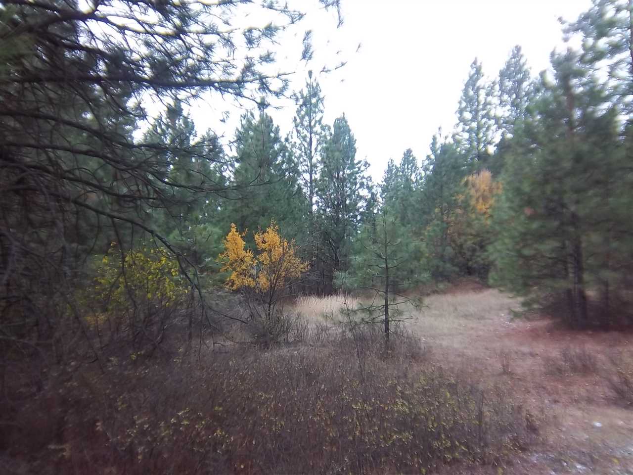 Xxxx West Woolard Road Colbert, WA 99005 - Photo 9 of 10 Gallery Image 9