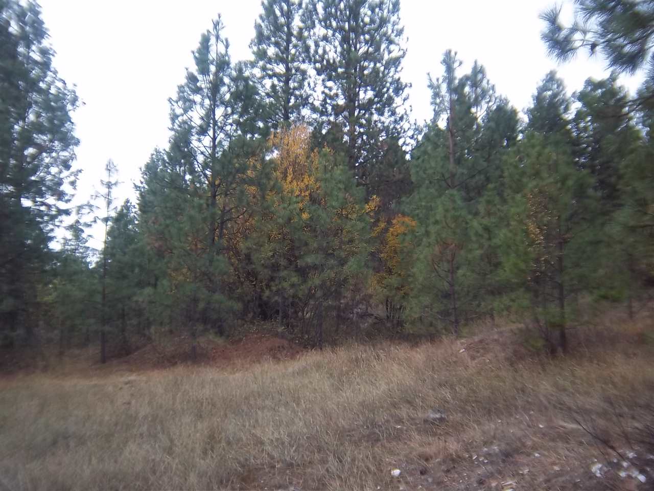 Xxxx West Woolard Road Colbert, WA 99005 - Photo 10 of 10 Gallery Image 10
