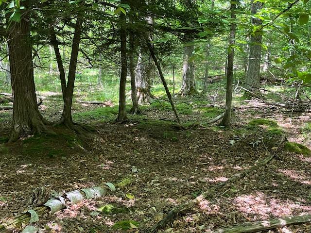 Lot 28 Fawn Lane Ellison Bay, WI 54210 - Photo 6 of 8