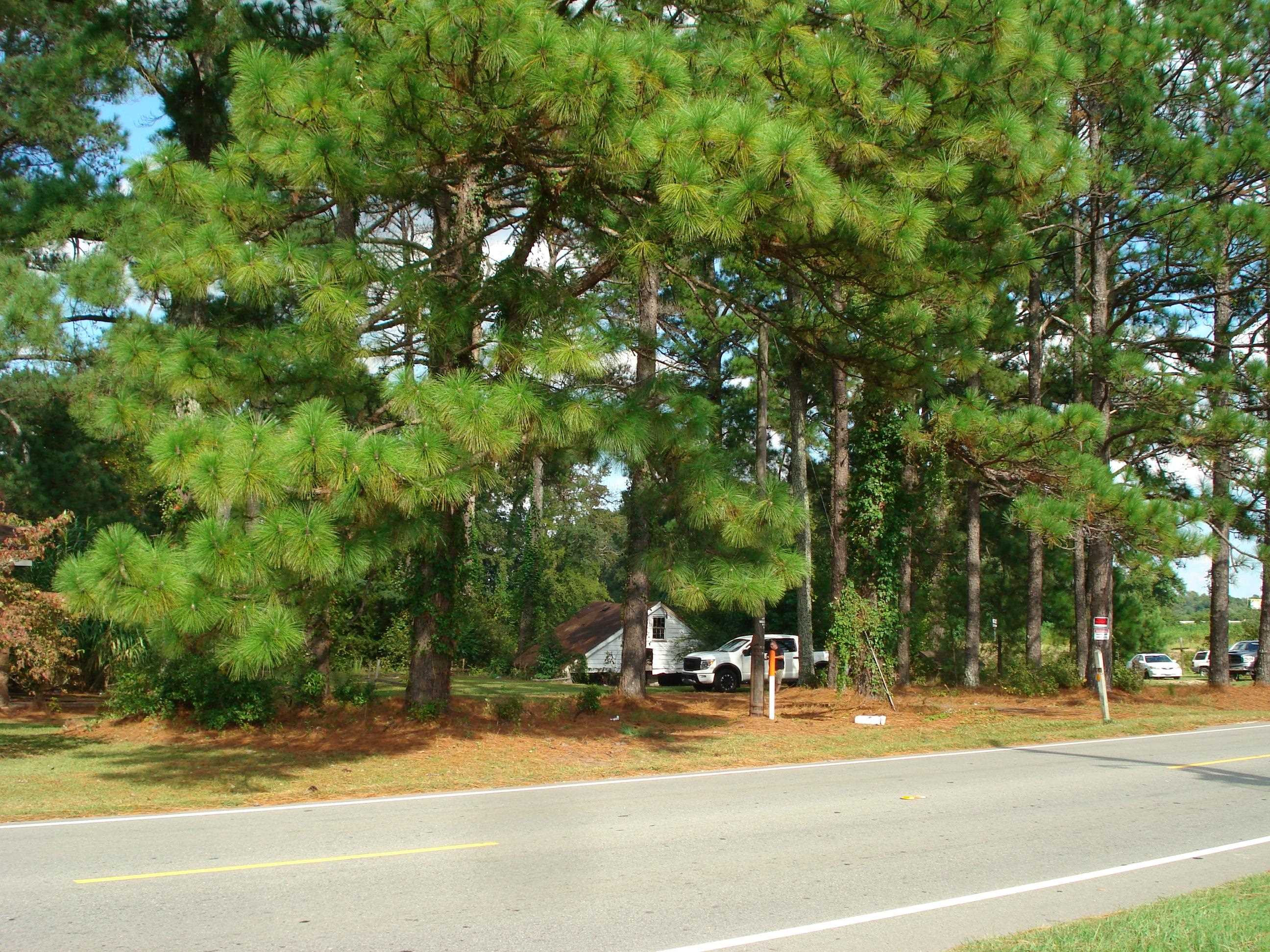 441 Long Branch Road Dunn, NC 28334 - Photo 22 of 40 Photo 19