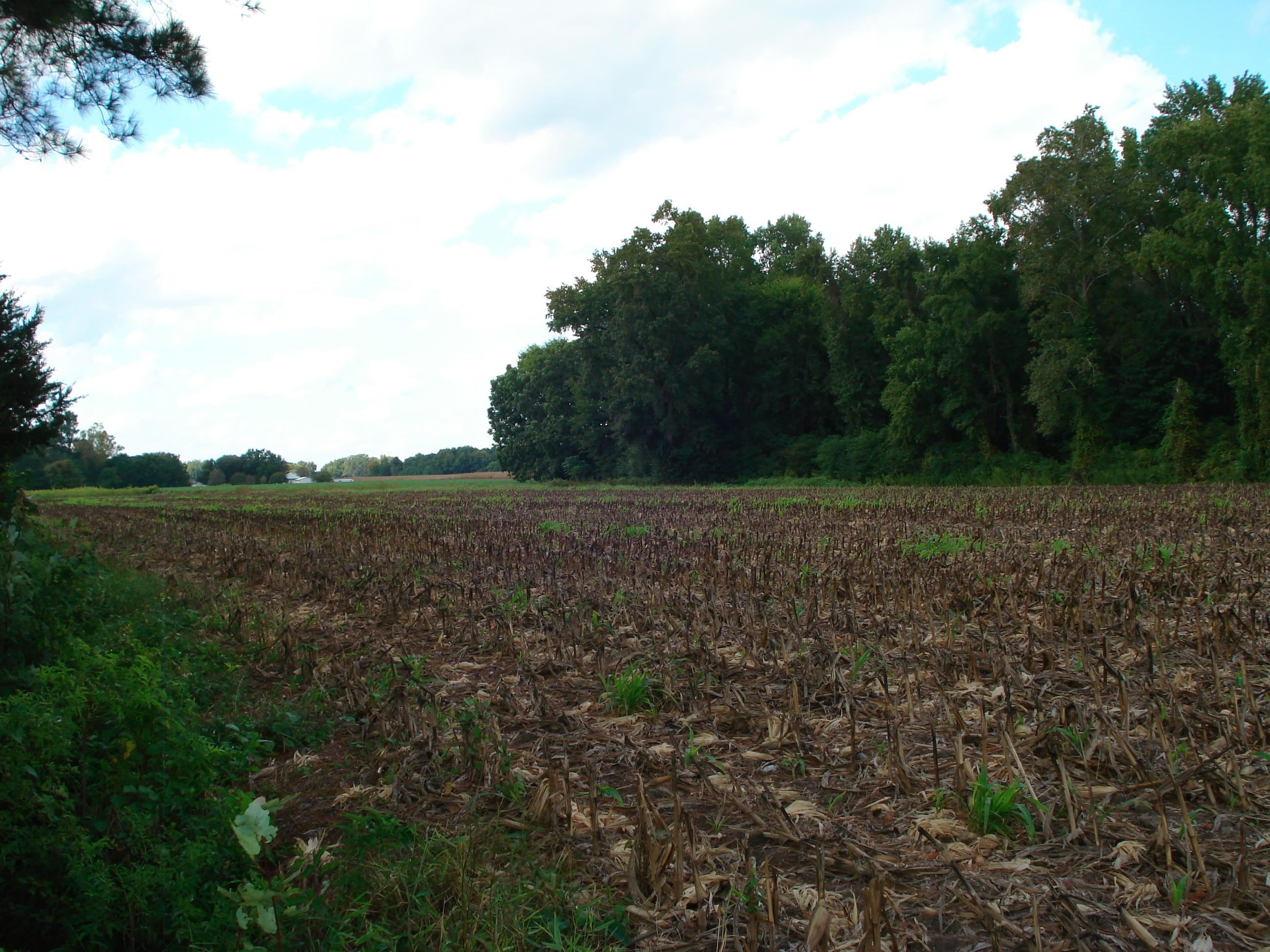 441 Long Branch Road Dunn, NC 28334 - Photo 25 of 40 Photo 22