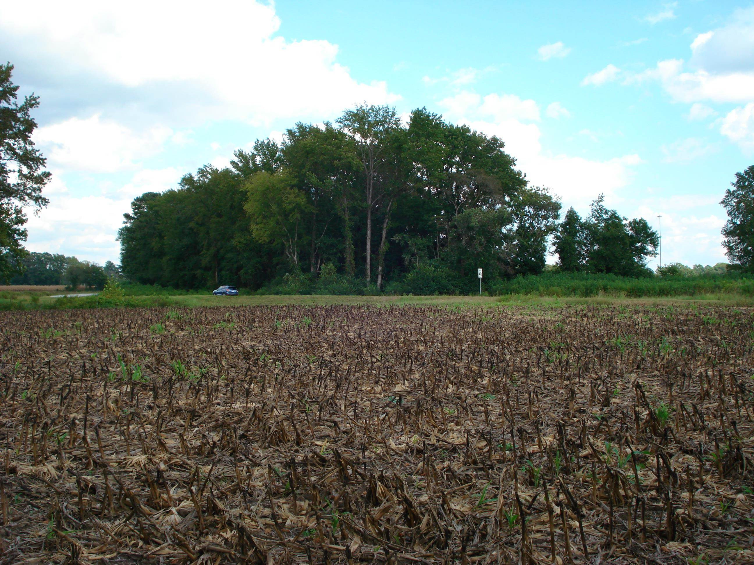 441 Long Branch Road Dunn, NC 28334 - Photo 26 of 40 Photo 23