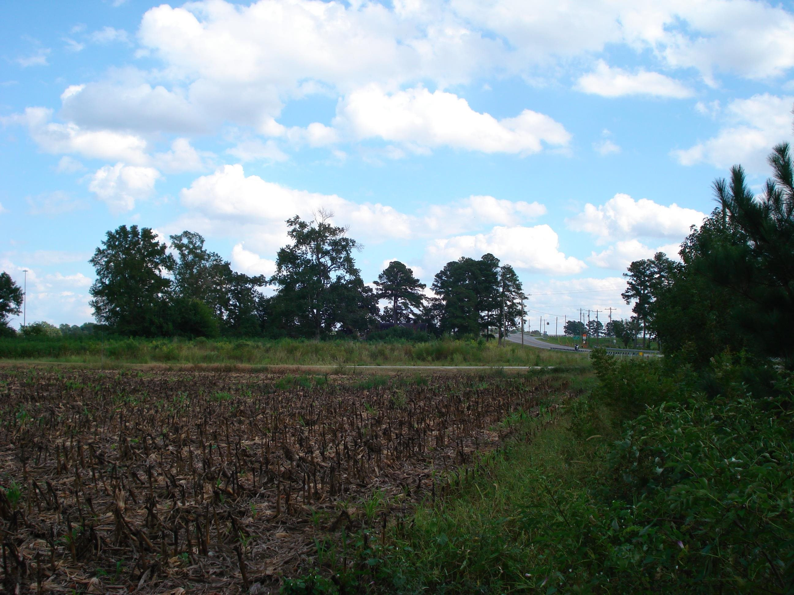 441 Long Branch Road Dunn, NC 28334 - Photo 27 of 40 Photo 24