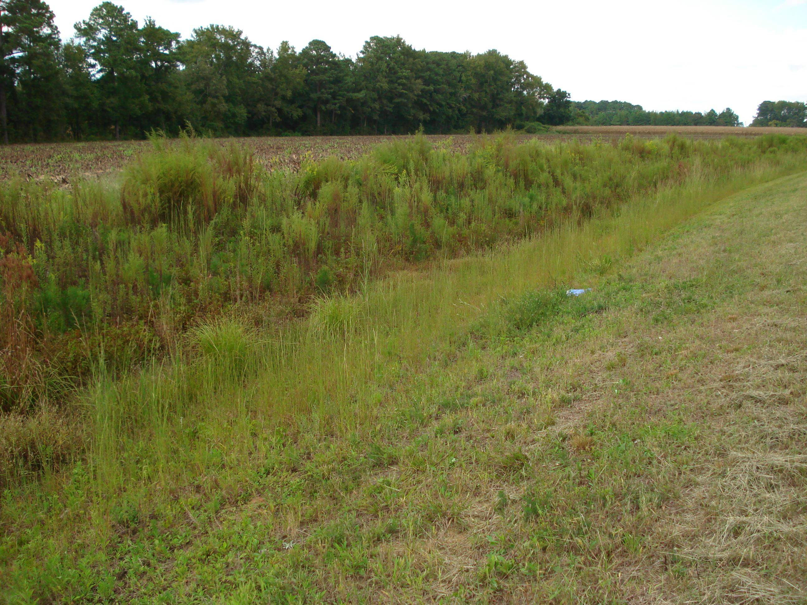 441 Long Branch Road Dunn, NC 28334 - Photo 31 of 40 Photo 29