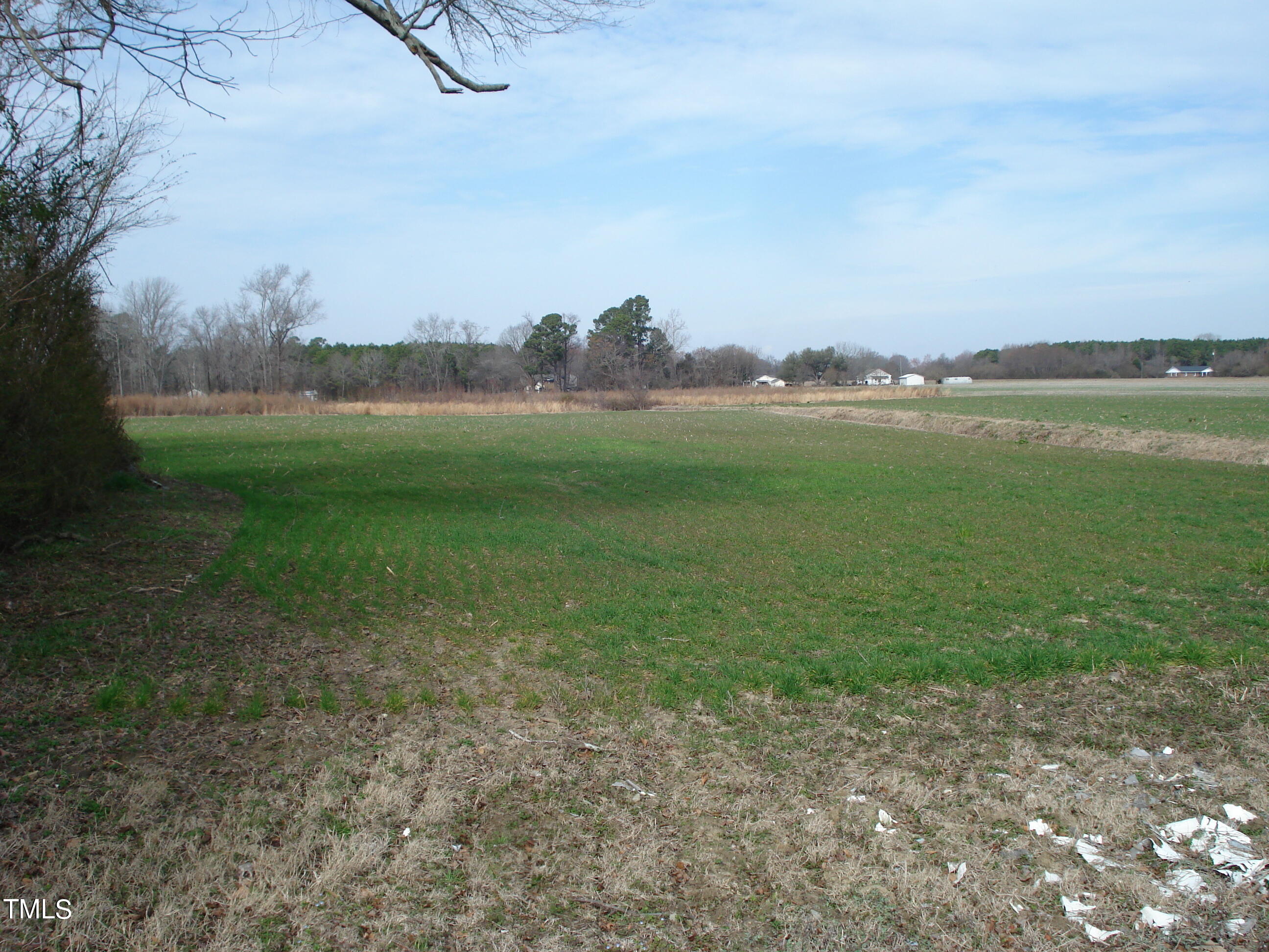 441 Long Branch Road Dunn, NC 28334 - Photo 34 of 40 DSC06165