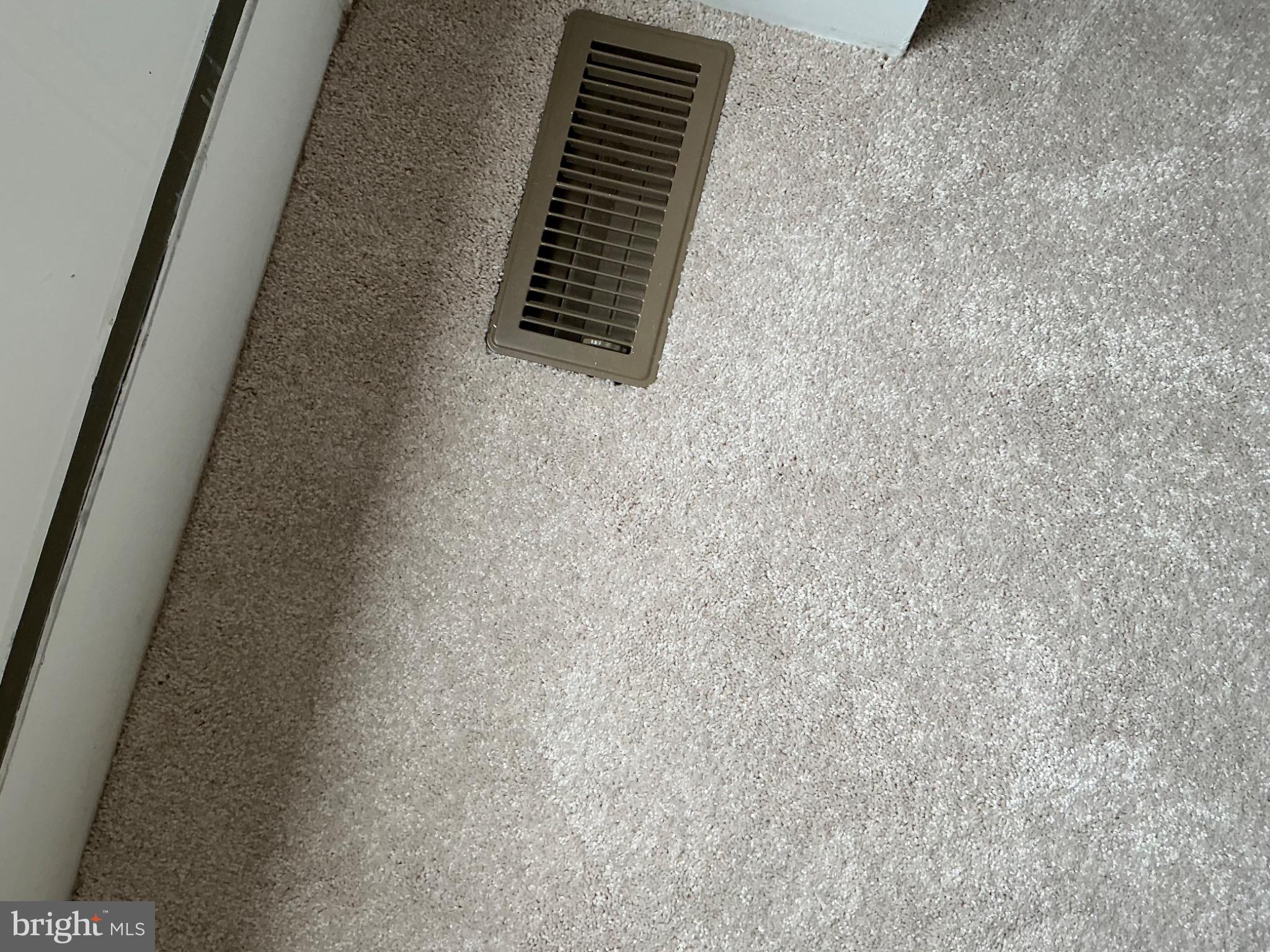 16125 Redland Road Derwood, MD 20855 - Photo 38 of 44 Carpet condition, barely used.