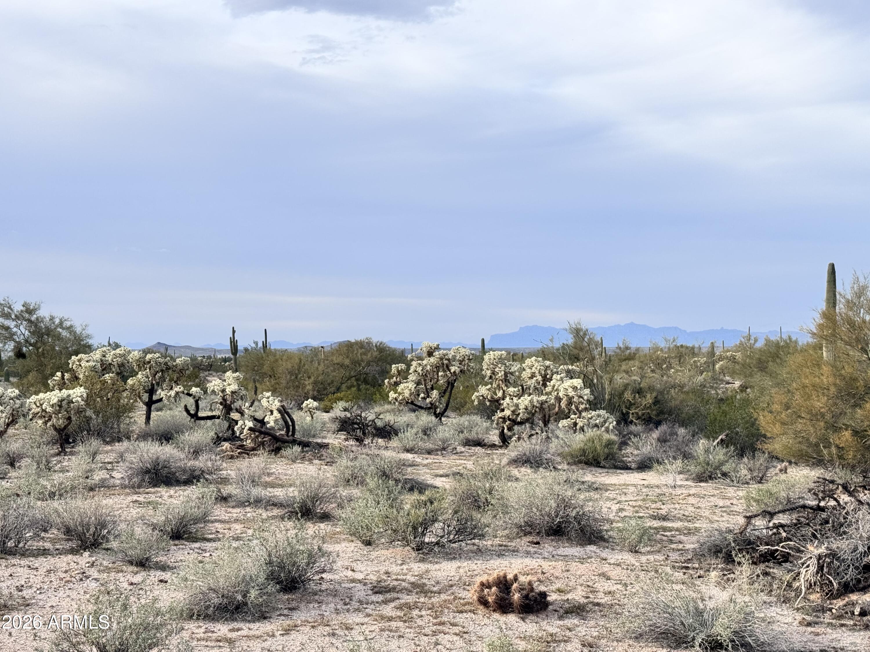 14438 North Reed Road Florence, AZ 85132 - Photo 12 of 28 a view of a beach with a mountain in the back