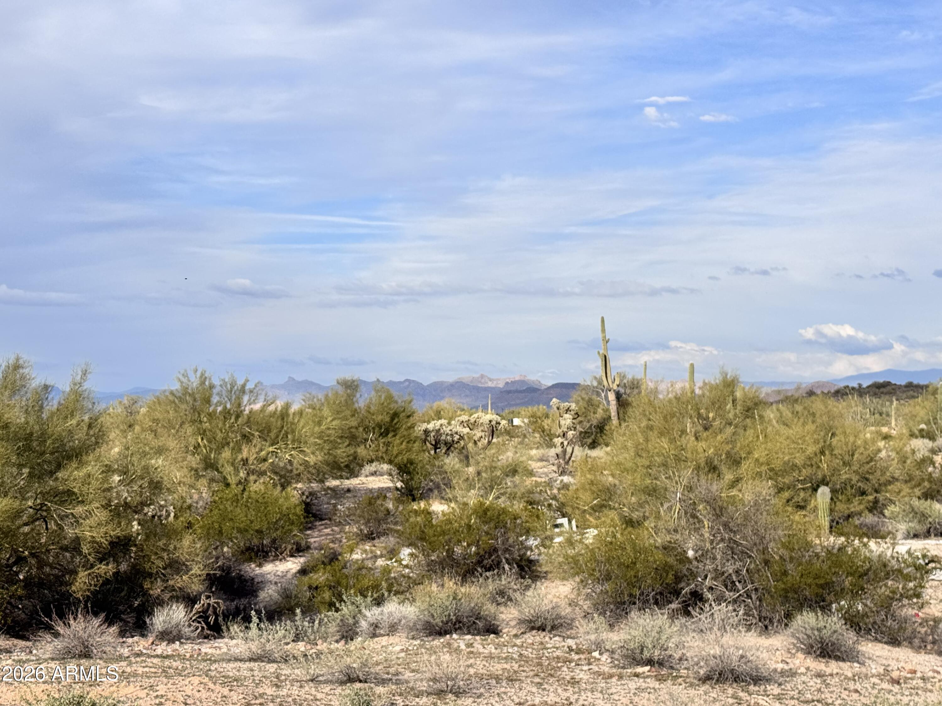 14438 North Reed Road Florence, AZ 85132 - Photo 13 of 28 a view of a yard